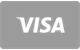 Visa card payment accepted at MrPunter Casino